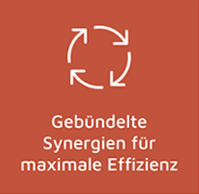 Gebündelte Synergien für maximale Effizienz